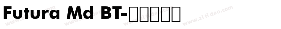 Futura Md BT字体转换